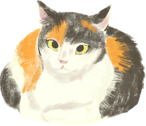 Painterly Turkiye Calico Cat